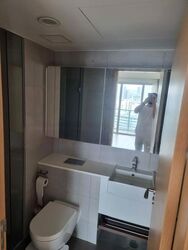 Eight Riversuites (D12), Condominium #476990941